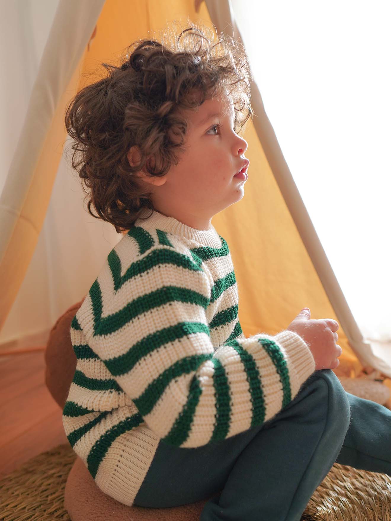 Pull tricot Vert Rayé V1